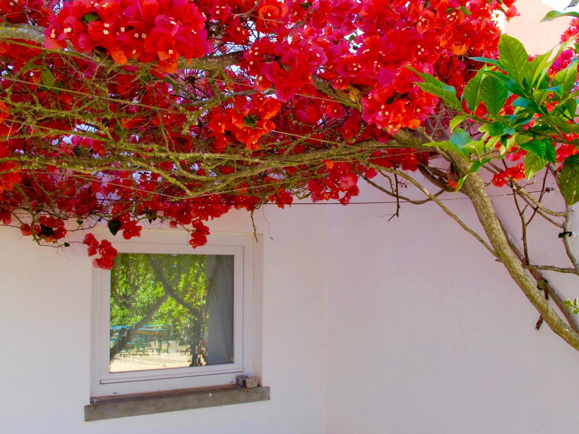 Seaya Villas Cascais Oda fotoğraf